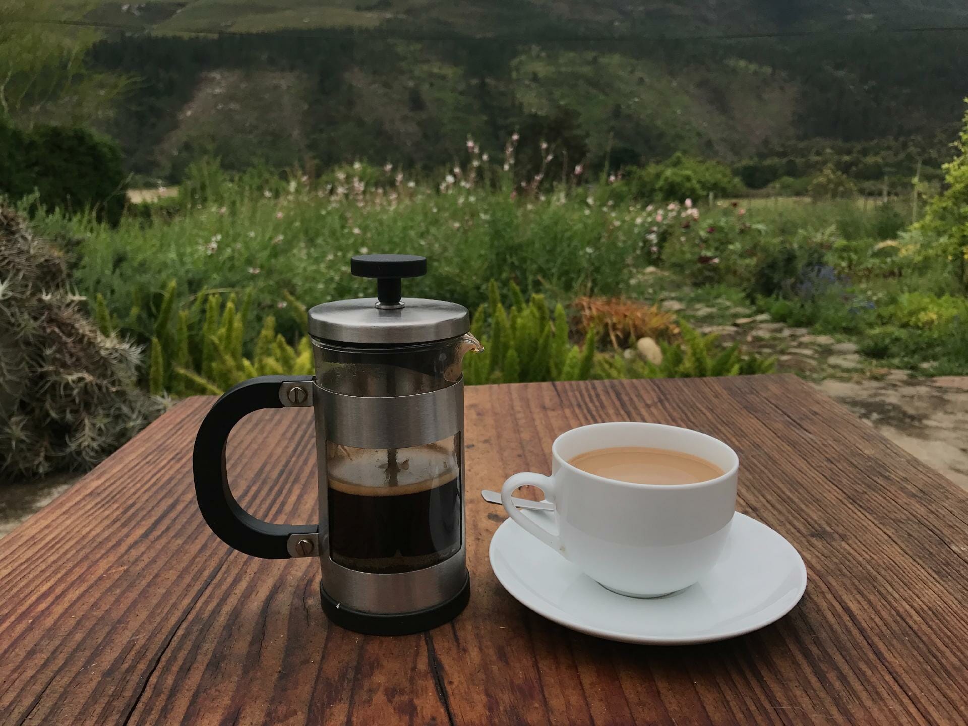 How to make french press cold brew