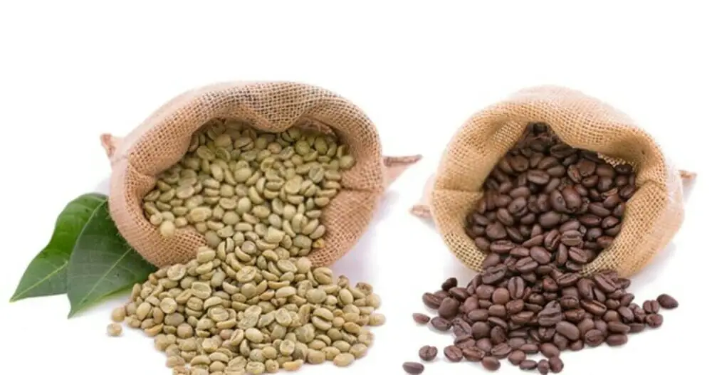 Is it OK to eat roasted coffee beans?