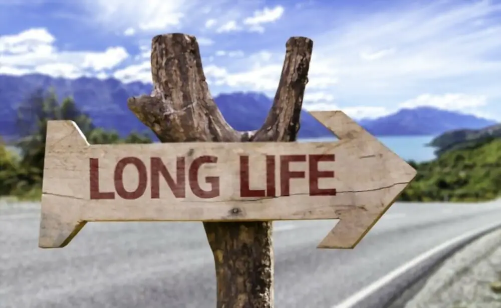 What can make you live longer?