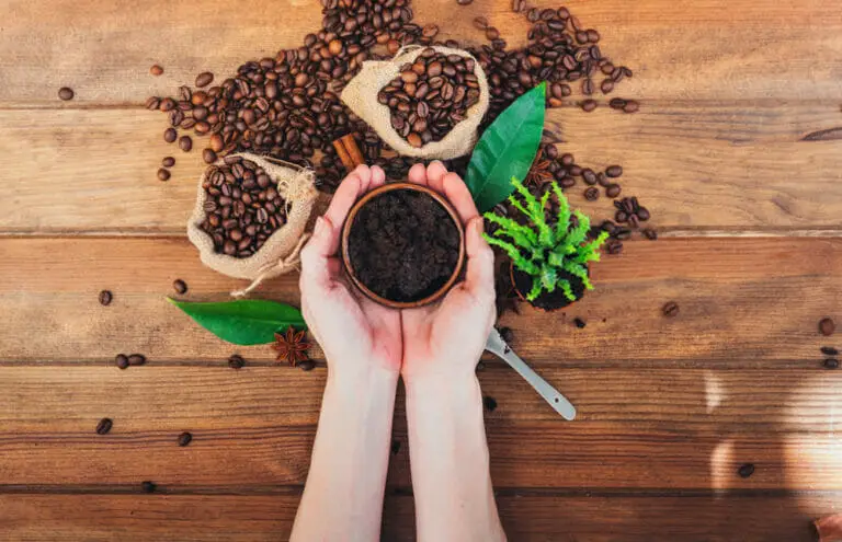 How To Keep Coffee Grounds Out Of Your Coffee: Stop Them Getting In!