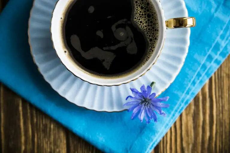 What Is Chicory Coffee Made From –  Does Chicory Have Caffeine?￼