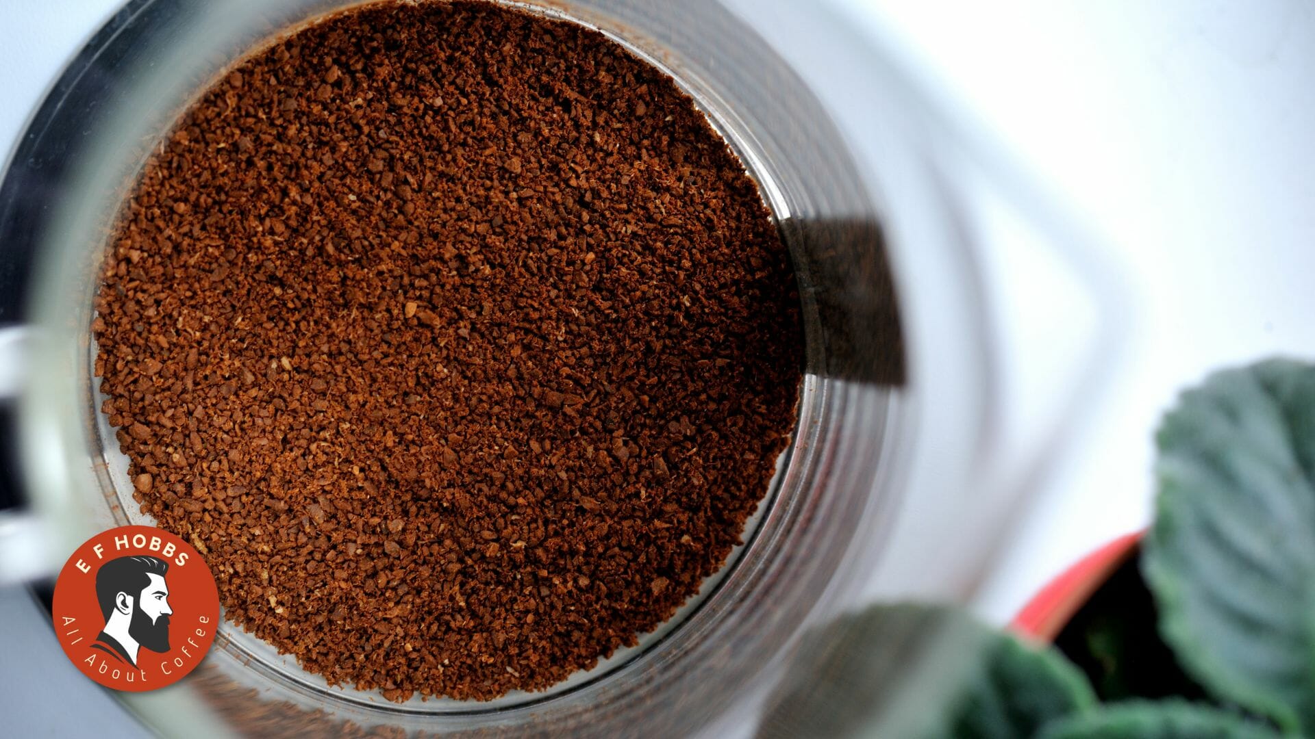 Grind Coffee Beans In A Nutribullet Grind Coffee Beans In A Nutribullet